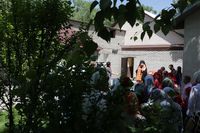 Thumb img 7408