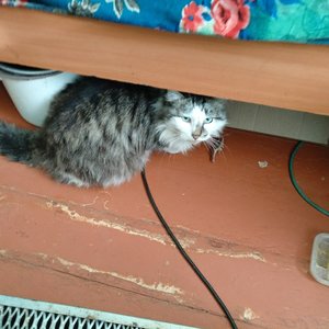 Thumb img 20200124 110016
