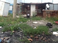 Thumb img 6326